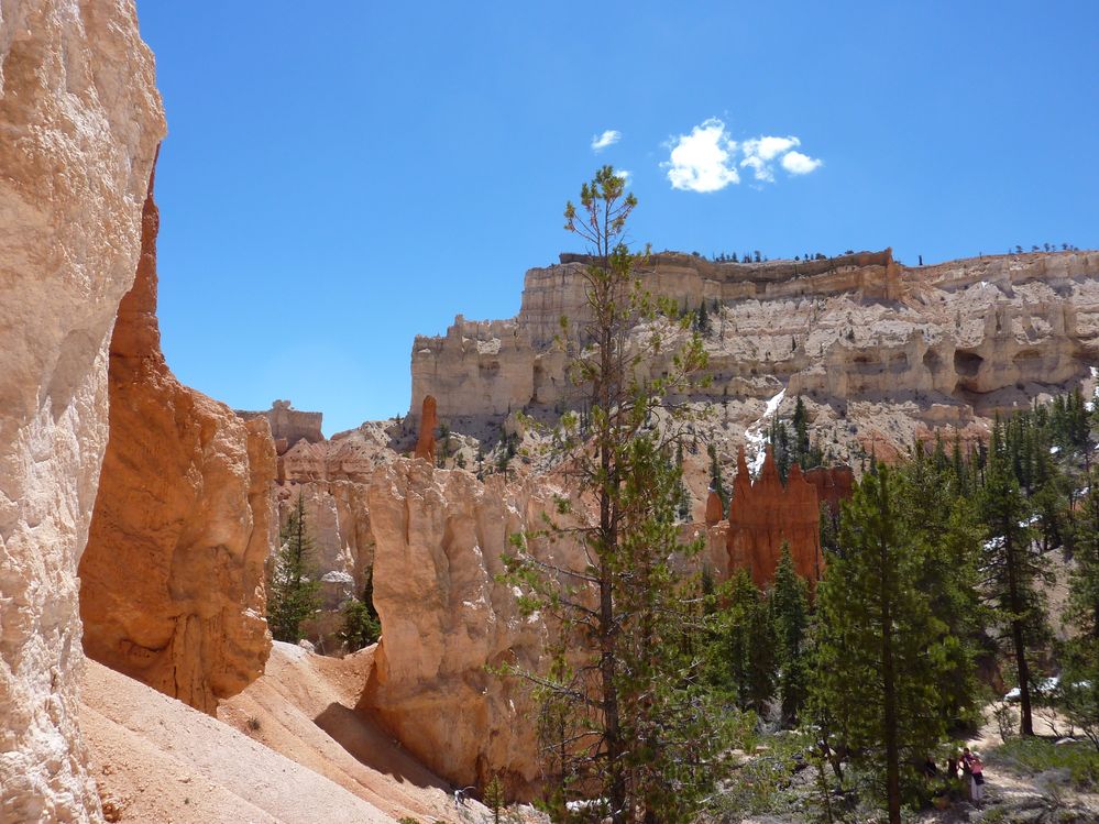 bryce canyon (81).JPG